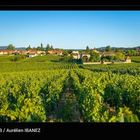 Onumero6 Tournus Buitenkant foto